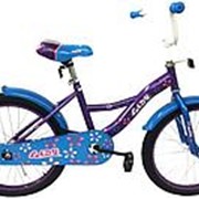 Велосипед Navigator 20 Lady ВH20211 (Фиолетовый+синий, ВН20211) фото