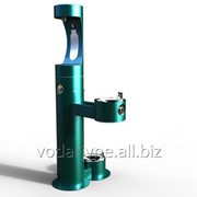 Фонтанчик питьевой уличный с автоматическим набором воды TL44 фотография