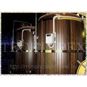 Мини пивоварня — пивзавод Blonder Beer от компании Techimpex. фотография