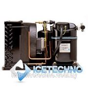 Компрессорно-конденсаторный агрегат Tecumseh FH2480ZBR фотография