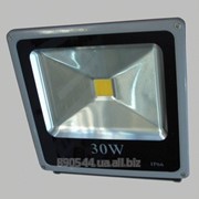 Светодиодный прожектор VDL 30W. фото
