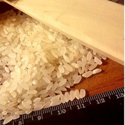 Рис для Суші “Йоші“ фото