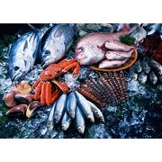 Рыба и морепродукты фото