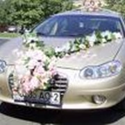 Свадебные автомобили фото
