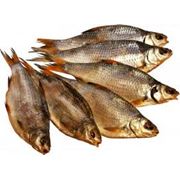 Сушеная рыба/морепродукты фотография