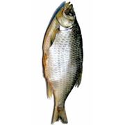 Вяленая рыба/морепродукты
