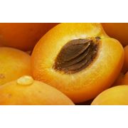 масло абрикосовое пищевое фото