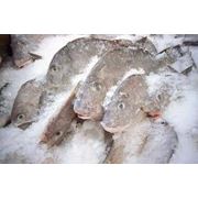 Морепродукты мороженые фото
