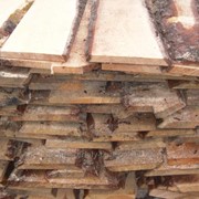 Шалевка сосна в Киеве и Киевской области фото