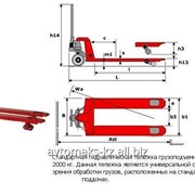 Услуги рохли фотография