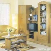 Мебель классическая для гостиной в Алматы фотография