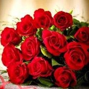 Картина по номерам Красные розы 40х50см (30993) фото