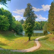 Земельный участок сельхозназначения площадью 46,17 ГА фото