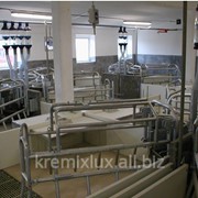 Свинарник маточник готовые помещения КреМикс-ЛюксООО,в Молдове и ПМР Парканы фото