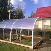 теплицы фото