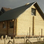 Деревянные дома из оцилиндрованного или рубленного бревна фото