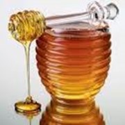 Алтайский мед из разнотравья