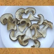 Белые грибы 1 сорт
