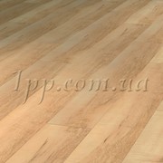 Ламинат Avatara-Floor Shiny Edition Клен light brown фото