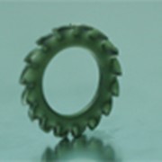 Шайба стопорная с упругими зубцами , AZ 10.5 M10 мм фото