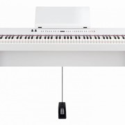 Цифровое фортепиано Roland FP4WH
