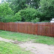 Забор деревянный 1005 фото