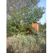 Дача, участок, земля Алматинская область Станция Шамалган 12 соток фото