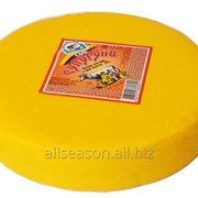 Сыр Сулугуни фото