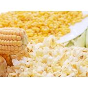 Зерно кукурузы жареный соленый попкорн Испания фото