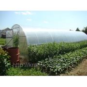 Теплицы Урожай-ПК (10 метров) ( с сотовым поликарбонатом толщина 4 мм) фотография