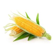 Кукуруза свежемороженая фото