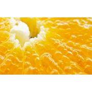 Мякоть апельсина сушёная (сублимационная сушка) фотография