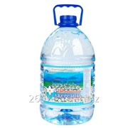 Питьевая столовая негазированная вода Шаянская Родниковая 5 л, 2 бут. х 5 л фото