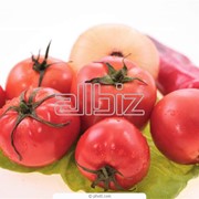 Хранение плодоовощной продукции в холодильниках фото