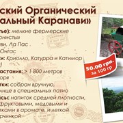 Боливия Сан Игнасио фотография