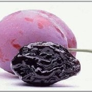 Чернослив фото