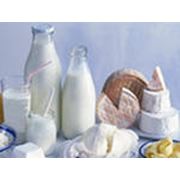 Молочные продукты фото