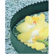 Биметаллические ленточные пилы Secura / Bimetal M42 фото