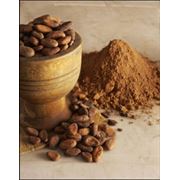 какао-порошок натуральный и алкализованный фотография