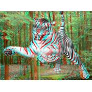 3D-фотография фото