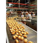Сервисное обслуживание оборудования для производства хлебобулочных и кондитерских изделий фото