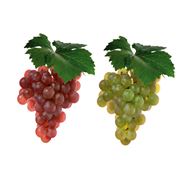 Концентрированный сок белого и красного винограда 65 брикс фото
