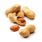 Орехи: арахис миндаль кешью фундук
