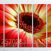 Модульна картина на полотні Червоно-жовта квітка код КМ100150(150)-097 фотография