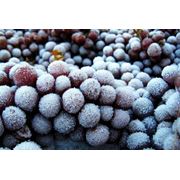 Виноград замороженный фото