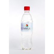 Артезианская вода “Vivus“ фото