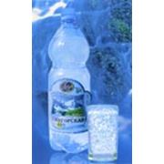 Вода минеральная питьевая природная лечебно-столовая Семигорская-1 фото