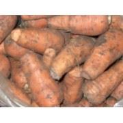 Купить Картофель Морковь Цена