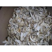 Сухие белые грибы Алтайские