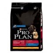 Корм Pro Plan Adult Large Robust для взрослых собак крупных пород 14 кг фото